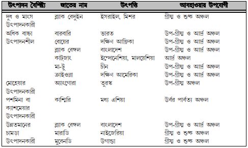 ছাগলের জাত ও বৈশিষ্ট্য