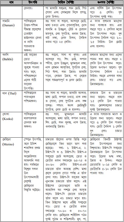 ভেড়ার জাত ও বৈশিষ্ট্য