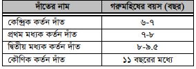 দাঁত দেখে গরুমহিষের বয়স নির্ণয় করা 4 দাঁত দেখে গরুমহিষের বয়স নির্ণয় করা