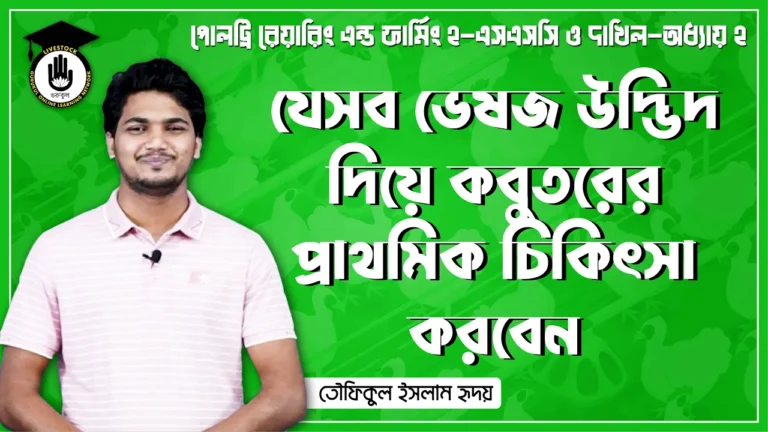 ভেষজ উদ্ভিদ দিয়ে কবুতরের প্রাথমিক চিকিৎসা