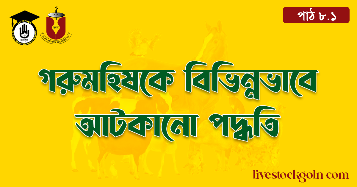 গরুমহিষকে বিভিন্নভাবে আটকানো পদ্ধতি 1 গরুমহিষকে বিভিন্নভাবে আটকানো পদ্ধতি