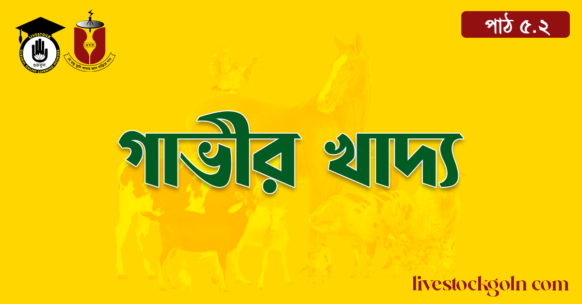 গাভীর খাদ্য 1 গাভীর খাদ্য