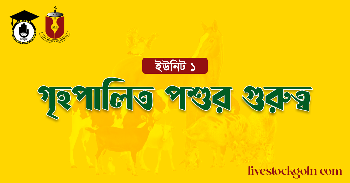 গৃহপালিত পশুর গুরুত্ব 1 গৃহপালিত পশুর গুরুত্ব