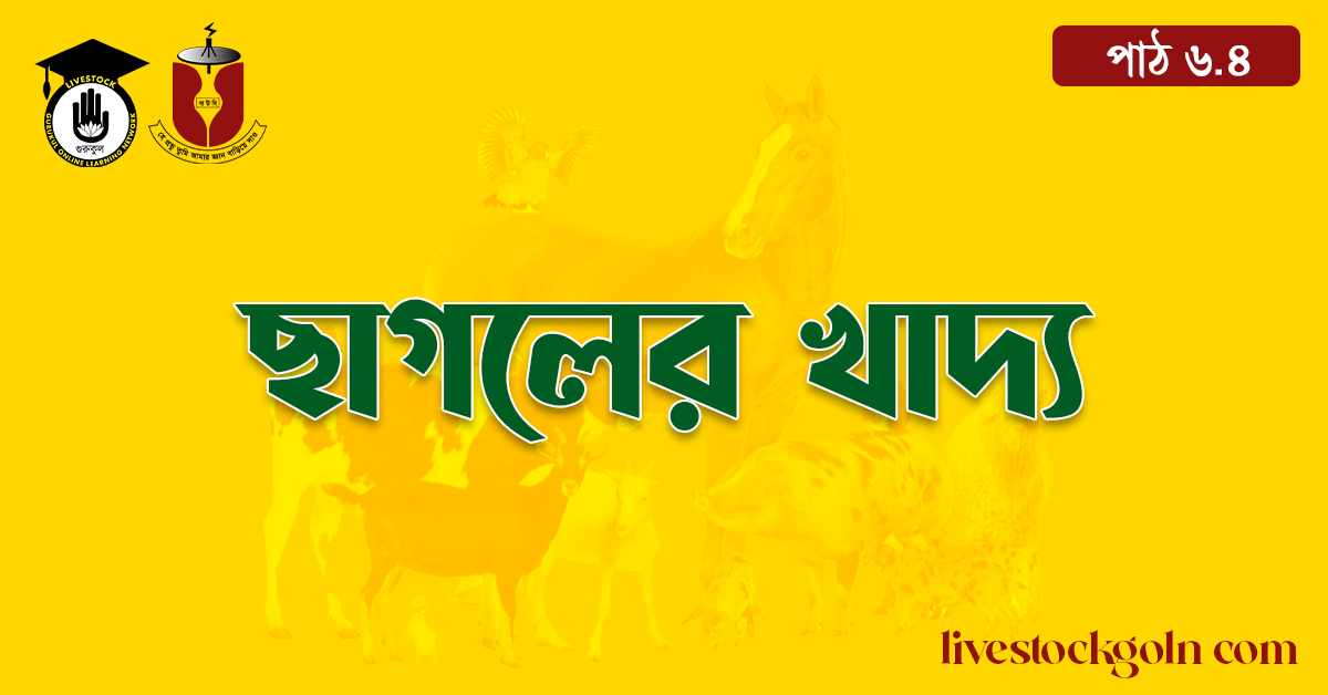 ছাগলের খাদ্য 1 ছাগলের খাদ্য
