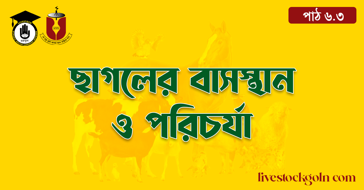 ছাগলের বাসস্থান ও পরিচর্যা 1 ছাগলের বাসস্থান ও পরিচর্যা