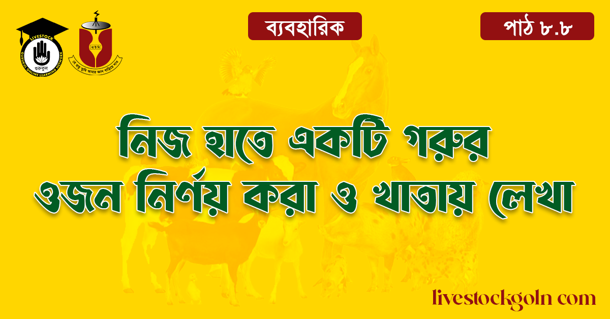 নিজ হাতে একটি গরুর ওজন নির্ণয় করা ও খাতায় লেখা 1 নিজ হাতে একটি গরুর ওজন নির্ণয় করা ও খাতায় লেখা