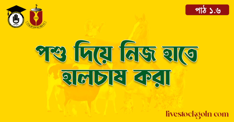 পশু দিয়ে নিজ হাতে হালচাষ করা