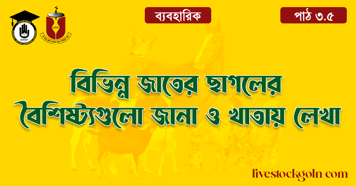 বিভিন্ন জাতের ছাগলের বৈশিষ্ট্যগুলো জানা ও খাতায় লেখা 1 বিভিন্ন জাতের ছাগলের বৈশিষ্ট্যগুলো জানা ও খাতায় লেখা