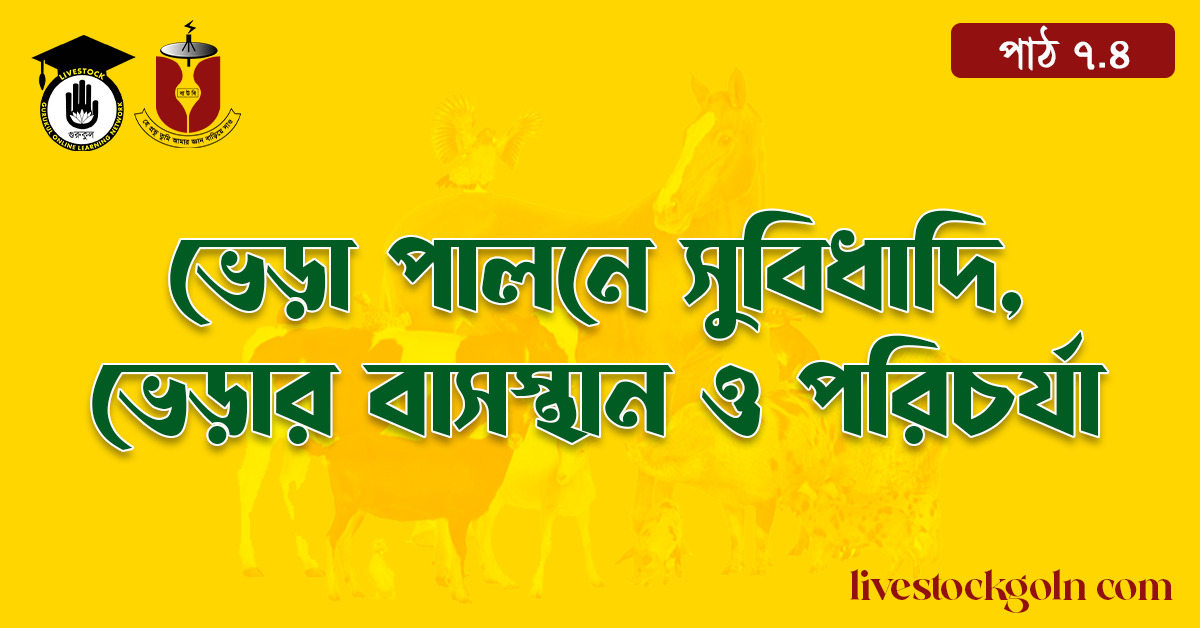 ভেড়া পালনে সুবিধাদি, ভেড়ার বাসস্থান ও পরিচর্যা