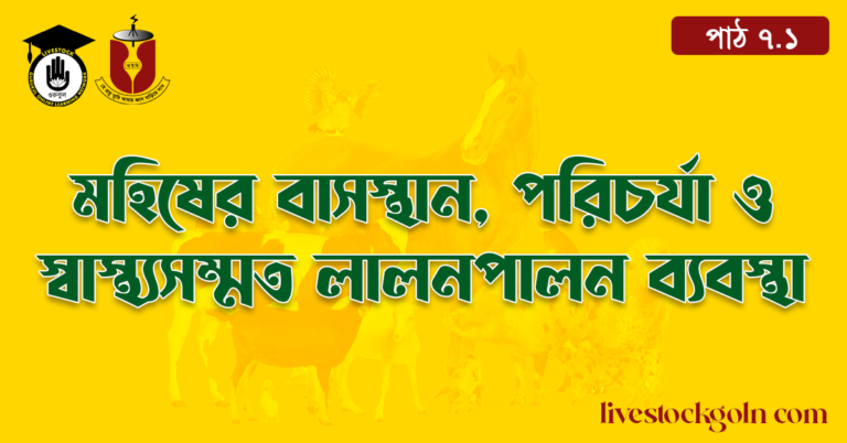 মহিষের বাসস্থান, পরিচর্যা ও স্বাস্থ্যসম্মত লালনপালন ব্যবস্থা
