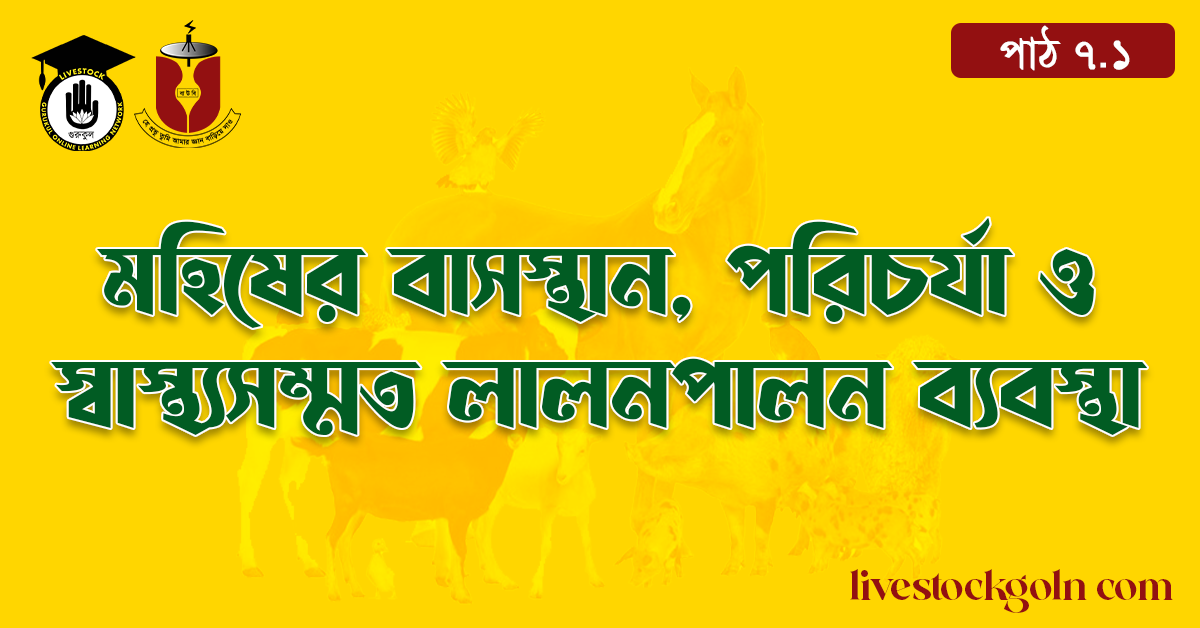 মহিষের বাসস্থান, পরিচর্যা ও স্বাস্থ্যসম্মত লালনপালন ব্যবস্থা 1 মহিষের বাসস্থান, পরিচর্যা ও স্বাস্থ্যসম্মত লালনপালন ব্যবস্থা