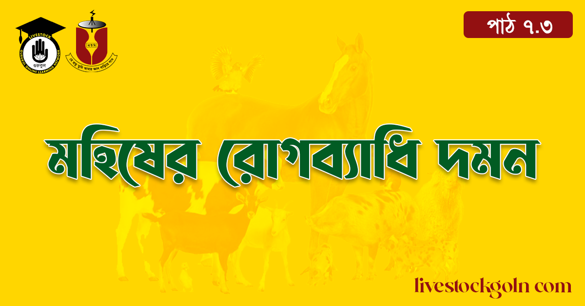 মহিষের রোগব্যাধি দমন 1 মহিষের রোগব্যাধি দমন