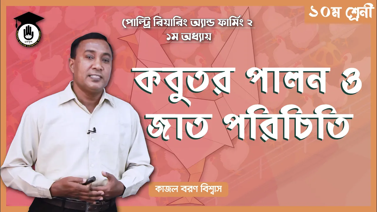 কবুতর পালন ও কবুতরের জাত | পোল্ট্রি রিয়ারিং অ্যান্ড ফার্মিং ২ 1 কবুতর পালন ও কবুতরের জাত কবুতর পালন ও কবুতরের জাত | পোল্ট্রি রিয়ারিং অ্যান্ড ফার্মিং ২