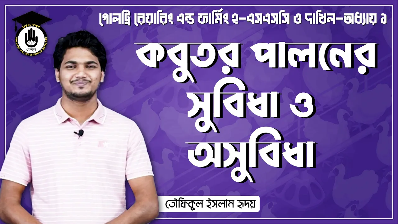 কবুতর পালনের সুবিধা ও অসুবিধা | পোল্ট্রি রিয়ারিং অ্যান্ড ফার্মিং 1 কবুতর পালনের সুবিধা কবুতর পালনের সুবিধা ও অসুবিধা | পোল্ট্রি রিয়ারিং অ্যান্ড ফার্মিং