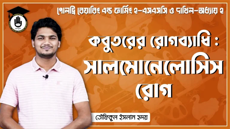 কবুতরের সালমোনেলোসিস রোগ কবুতরের সালমোনেলোসিস রোগ | পোল্ট্রি রিয়ারিং অ্যান্ড ফার্মিং