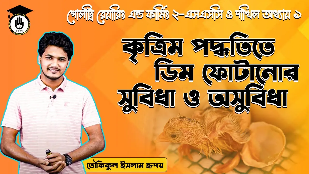 কৃত্রিম পদ্ধতিতে ডিম ফোটানোর সুবিধা ও অসুবিধা | পোলট্রি রেয়ারিং এন্ড ফার্মিং 1 কৃত্রিম পদ্ধতিতে ডিম কৃত্রিম পদ্ধতিতে ডিম ফোটানোর সুবিধা ও অসুবিধা | পোলট্রি রেয়ারিং এন্ড ফার্মিং