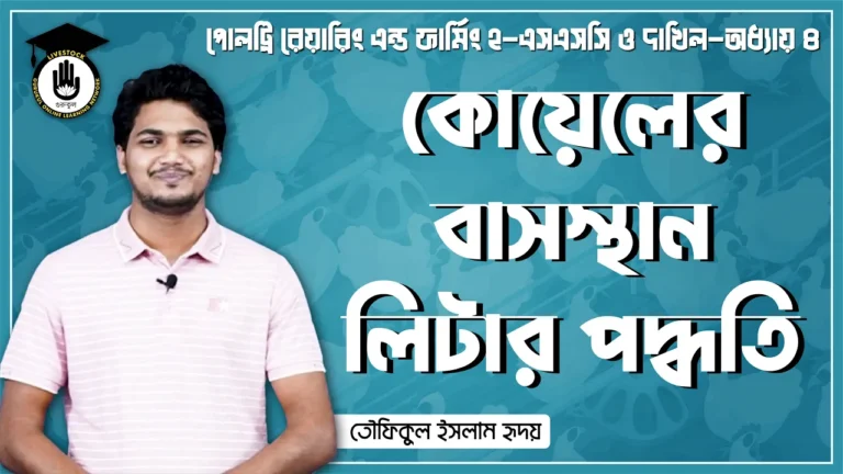 কোয়েলের বাসস্থান লিটার পদ্ধতি কোয়েলের বাসস্থান লিটার পদ্ধতি | পোলট্রি রেয়ারিং এন্ড ফার্মিং