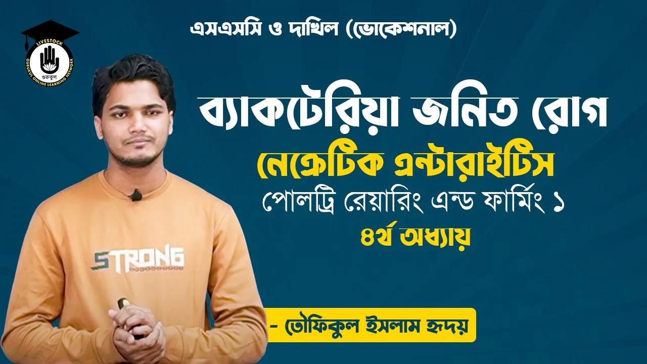 নেক্রেটিক এন্টারাইটিস ব্যাকটেরিয়া জনিত রোগ নেক্রেটিক এন্টারাইটিস | পোলট্রি রেয়ারিং এন্ড ফার্মিং