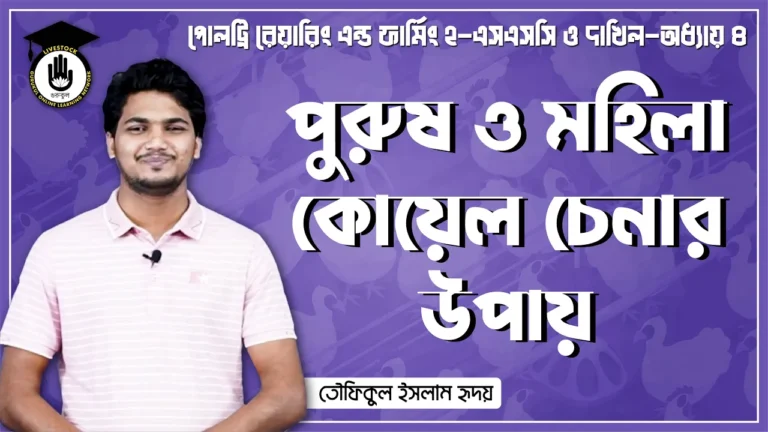 পুরুষ ও মহিলা কোয়েল চেনার উপায় পুরুষ ও মহিলা কোয়েল চেনার উপায় | পোলট্রি রেয়ারিং এন্ড ফার্মিং