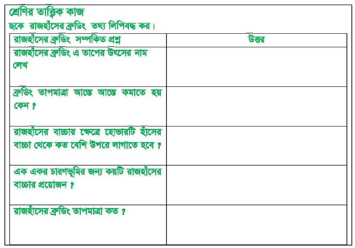 রাজহাঁস পালন ও রাজহাঁসের জাত পরিচিতি | পোল্ট্রি রিয়ারিং অ্যান্ড ফার্মিং 3 রাজহাঁস পালন