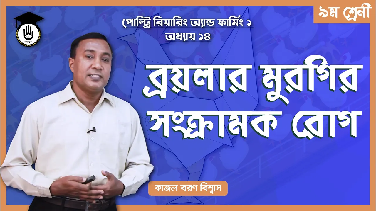 ব্রয়লার মুরগির সংক্রামক রোগ | পোল্ট্রি রিয়ারিং অ্যান্ড ফার্মিং ১ 1 ব্রয়লার মুরগির সংক্রামক রোগ ব্রয়লার মুরগির সংক্রামক রোগ | পোল্ট্রি রিয়ারিং অ্যান্ড ফার্মিং ১