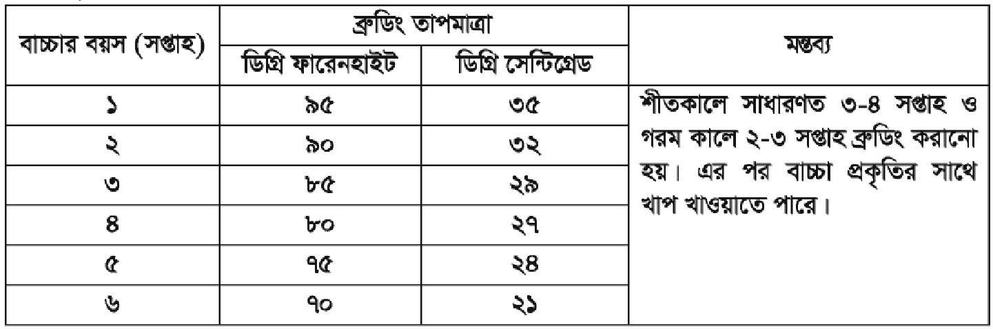 রাজহাঁস পালন ও রাজহাঁসের জাত পরিচিতি | পোল্ট্রি রিয়ারিং অ্যান্ড ফার্মিং 2 ব্রুডিং তাপমাত্রা রাজহাঁস পালন ও রাজহাঁসের জাত পরিচিতি | পোল্ট্রি রিয়ারিং অ্যান্ড ফার্মিং