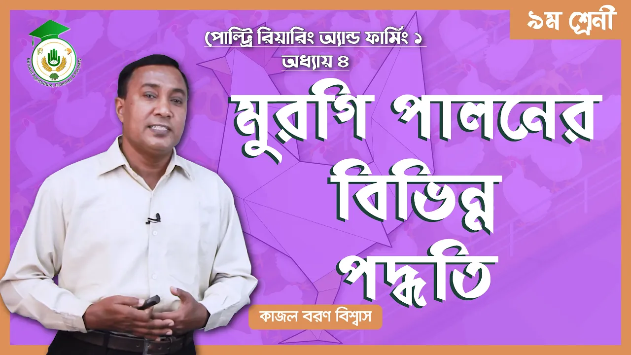 মুরগি পালনের বিভিন্ন পদ্ধতি | পোল্ট্রি রিয়ারিং অ্যান্ড ফার্মিং 1 মুরগি পালনের বিভিন্ন মুরগি পালনের বিভিন্ন পদ্ধতি | পোল্ট্রি রিয়ারিং অ্যান্ড ফার্মিং