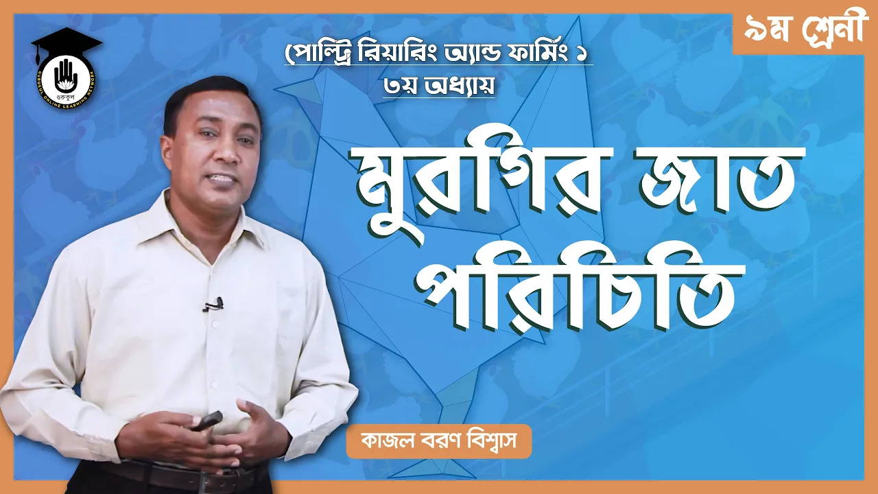 মুরগির জাত পরিচিতি | পোল্ট্রি রিয়ারিং অ্যান্ড ফার্মিং ১ 1 মুরগির জাত পরিচিতি মুরগির জাত পরিচিতি | পোল্ট্রি রিয়ারিং অ্যান্ড ফার্মিং ১