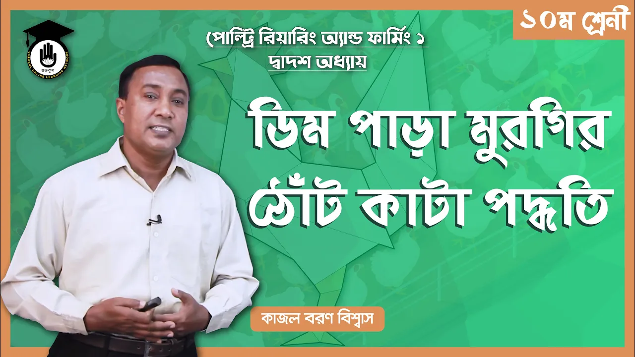 মুরগির ঠোঁট কাটার পদ্ধতি মুরগির ঠোঁট কাটার পদ্ধতি | পোল্ট্রি রিয়ারিং অ্যান্ড ফার্মিং ১