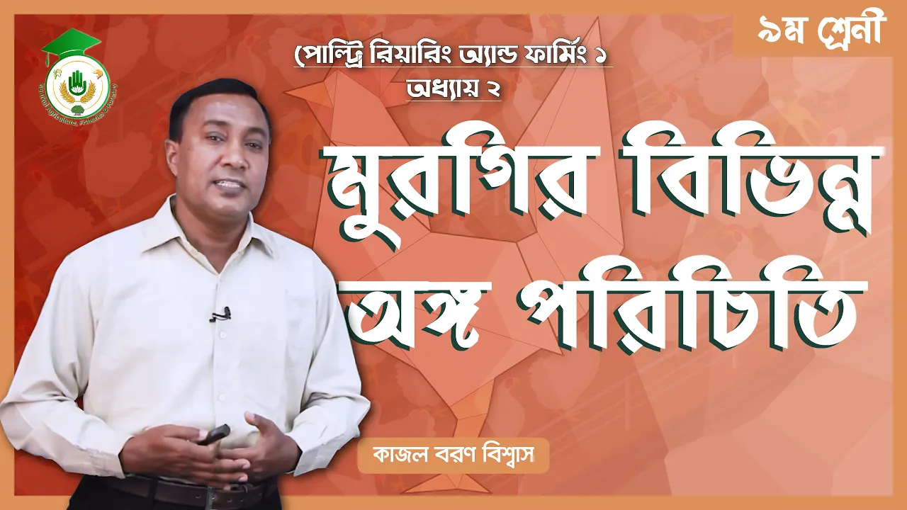 মুরগির বিভিন্ন অঙ্গ পরিচিতি মুরগির বিভিন্ন অঙ্গ পরিচিতি | পোল্ট্রি রিয়ারিং অ্যান্ড ফার্মিং