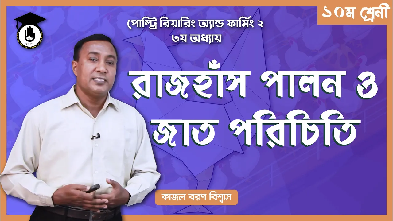 রাজহাঁস পালন ও রাজহাঁসের জাত পরিচিতি | পোল্ট্রি রিয়ারিং অ্যান্ড ফার্মিং 1 রাজহাঁস পালন রাজহাঁস পালন ও রাজহাঁসের জাত পরিচিতি | পোল্ট্রি রিয়ারিং অ্যান্ড ফার্মিং
