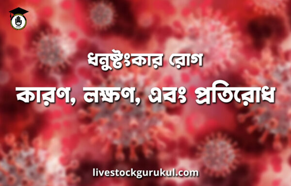 ধনুষ্টংকার রোগ কারণ লক্ষণ এবং প্রতিরোধ ধনুষ্টংকার রোগ: কারণ, লক্ষণ, এবং প্রতিরোধ