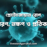 প্রোটোজোয়াল রোগ কারণ লক্ষণ ও প্রতিকার প্রোটোজোয়াল রোগ: কারণ, লক্ষণ ও প্রতিকার